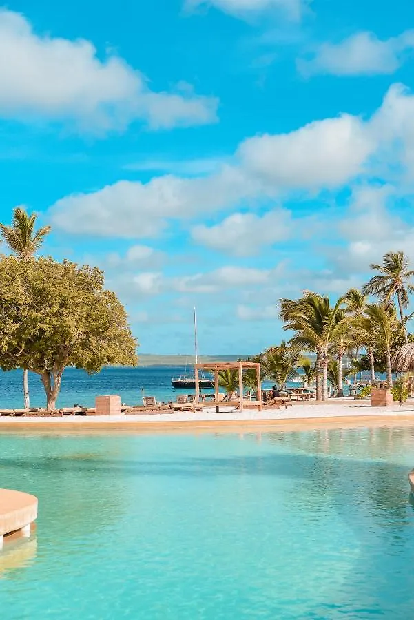 Chogogo Dive & Beach Resort Bonaire Kralendijk