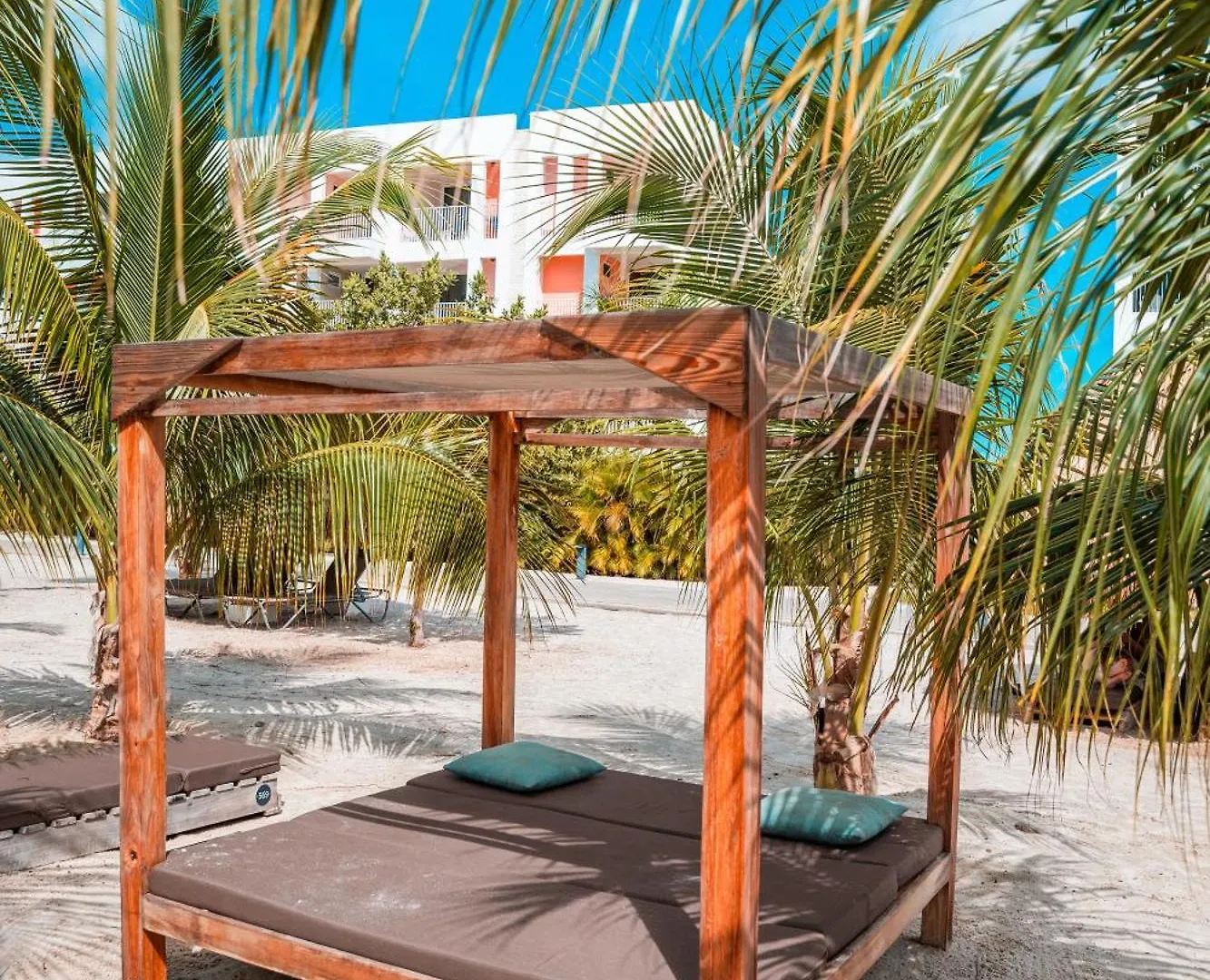 Chogogo Dive & Beach Resort Bonaire Kralendijk